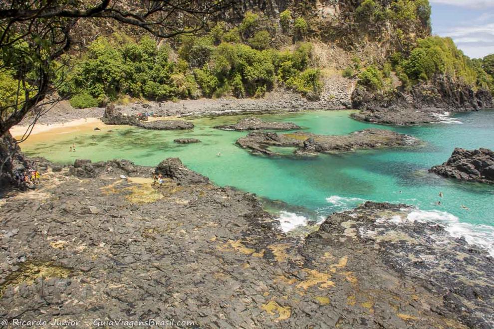 Imagem da vegetação ao redor no canto da Praia Baía dos Porcos.